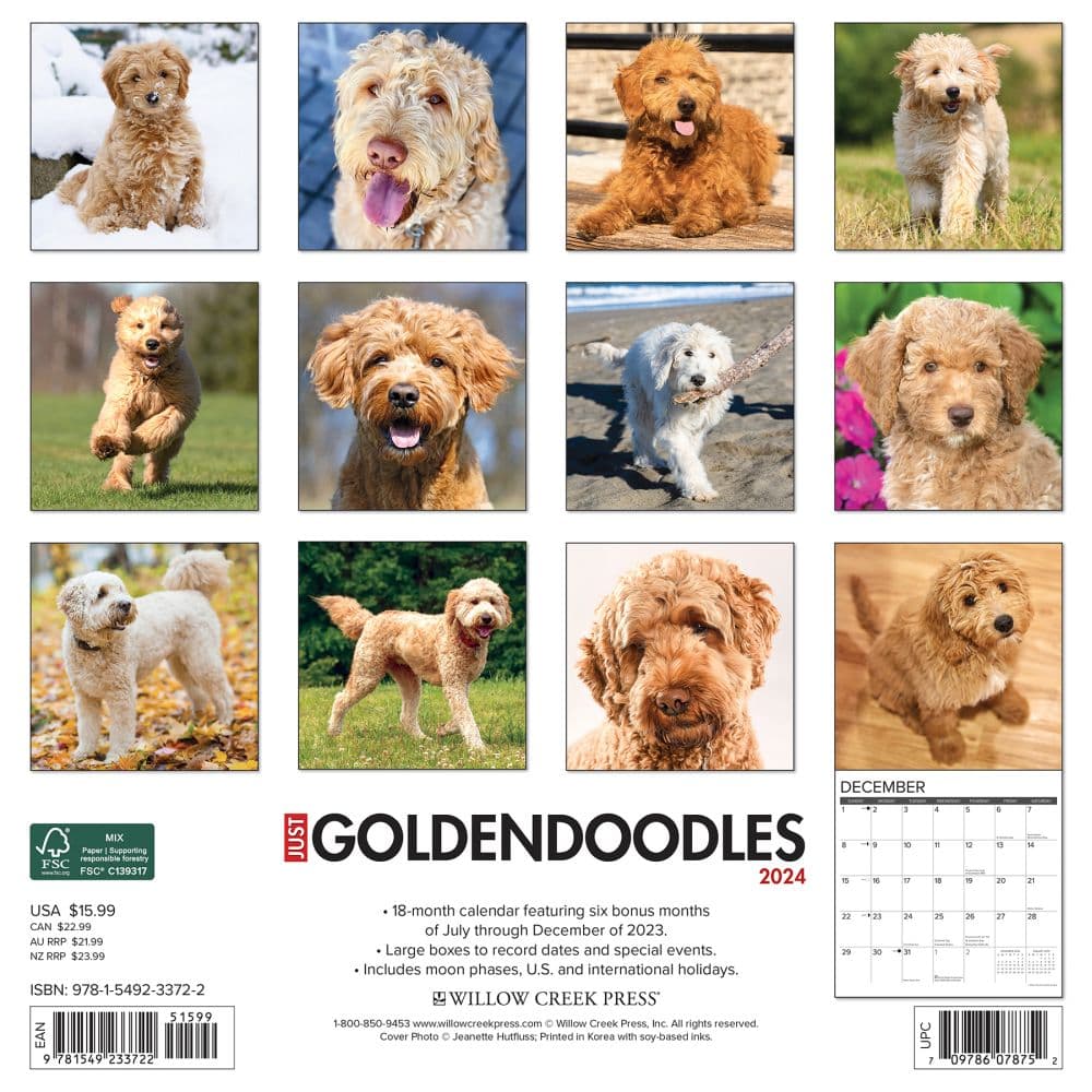 Just Goldendoodle 2024 Wall Calendar