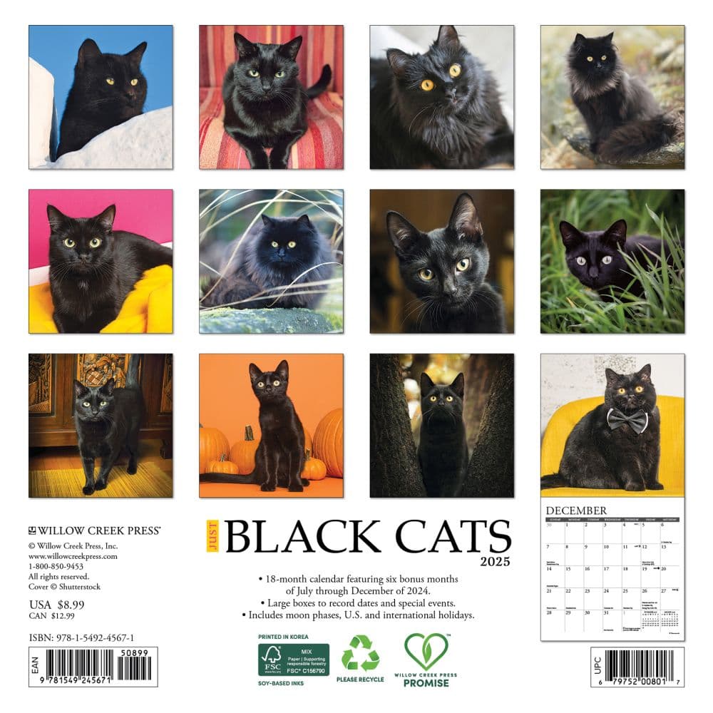 Black Cats 2025 Mini Wall Calendar First Alternate Image width=&quot;1000&quot; height=&quot;1000&quot;