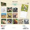 image Baby Animals 2025 Wall Calendar