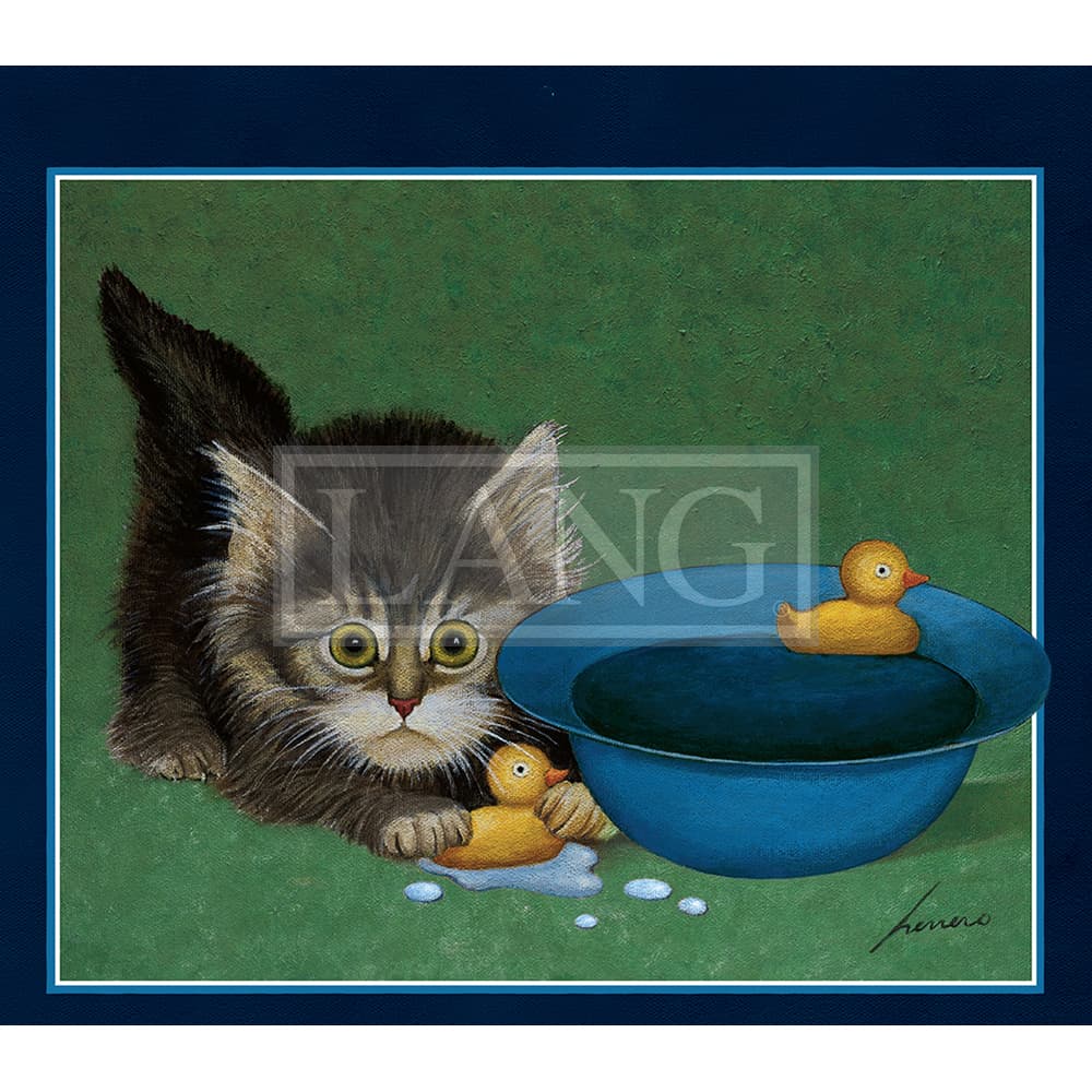 American Cat 2023 Desktop Wallpaper Alternate Image  width=&quot;1000&quot; height=&quot;1000&quot;