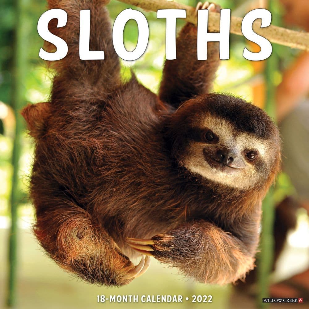 Sloths 2022 Wall Calendar