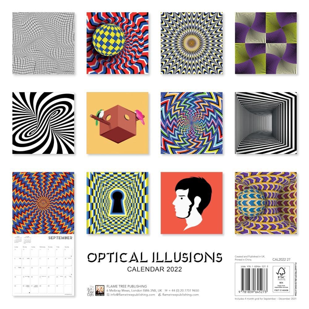 Optical Illusions 2022 Wall Calendar - Calendars.com