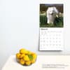 image Samoyeds 2024 Wall Calendar Third Alternate Image width=&quot;1000&quot; height=&quot;1000&quot;