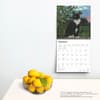 image Tuxedo Cats 2025 Wall Calendar