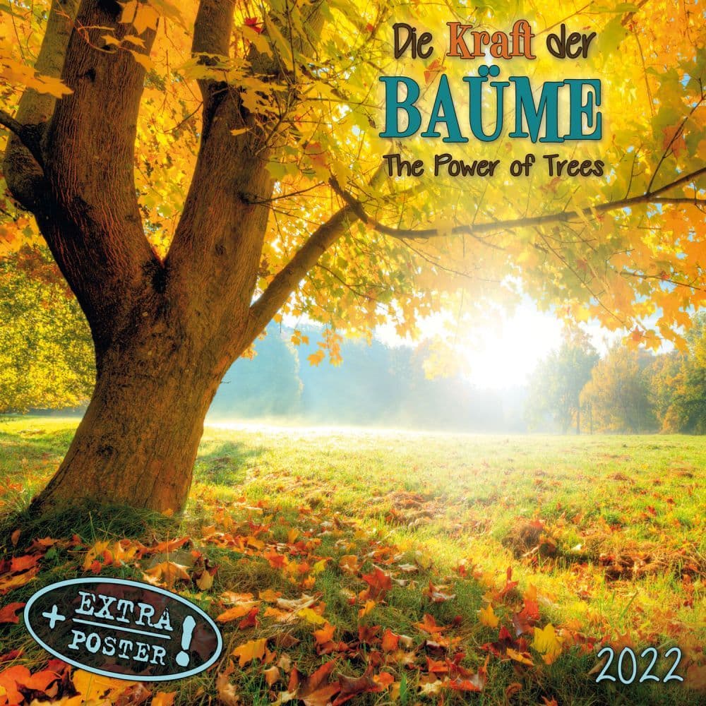 Power of Trees 2022 Small Wall Calendar - Calendars.com