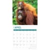 image Baby Animals 2025 Wall Calendar Second Alternate Image width="1000" height="1000"