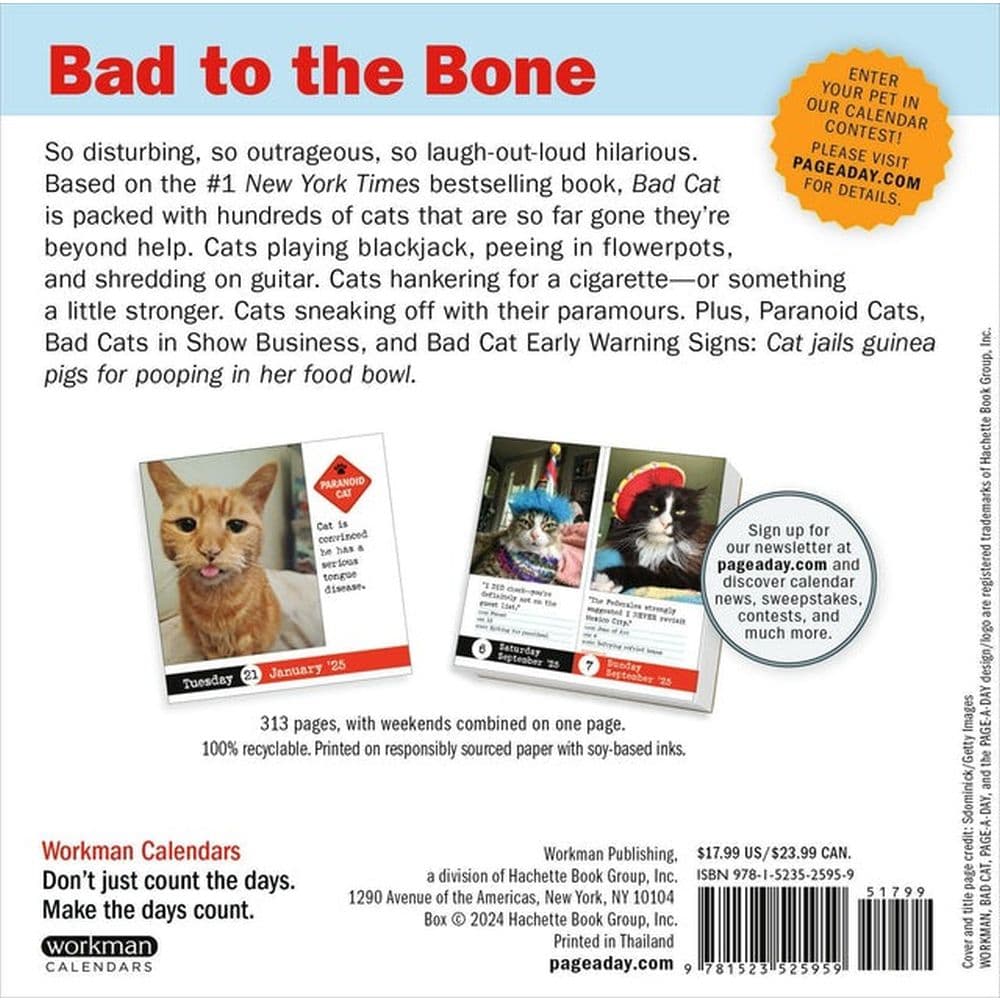 Bad Cat 2025 Page-a-Day Desk Calendar First Alternate Image