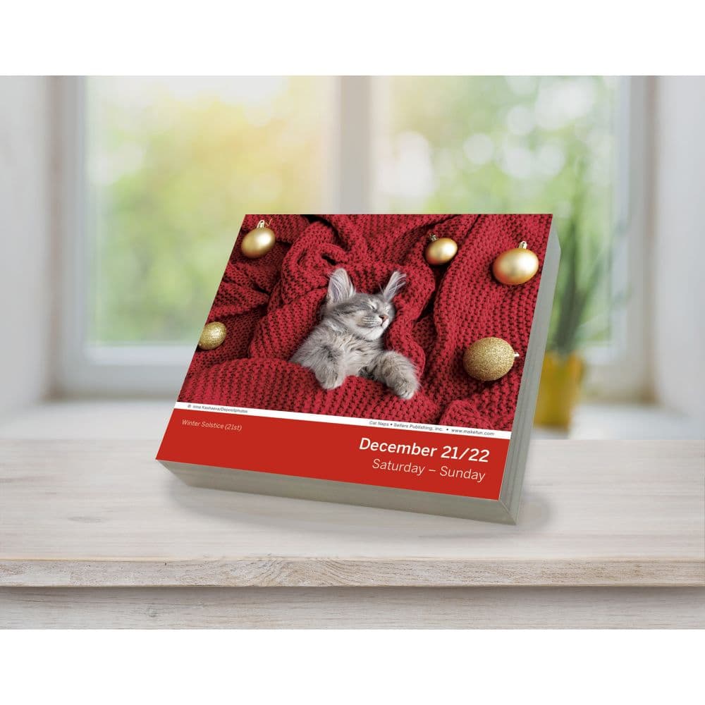 Cat Naps 2024 Desk Calendar