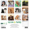 image Kittens and Puppies 2026 Wall Calendar First Alternate Image