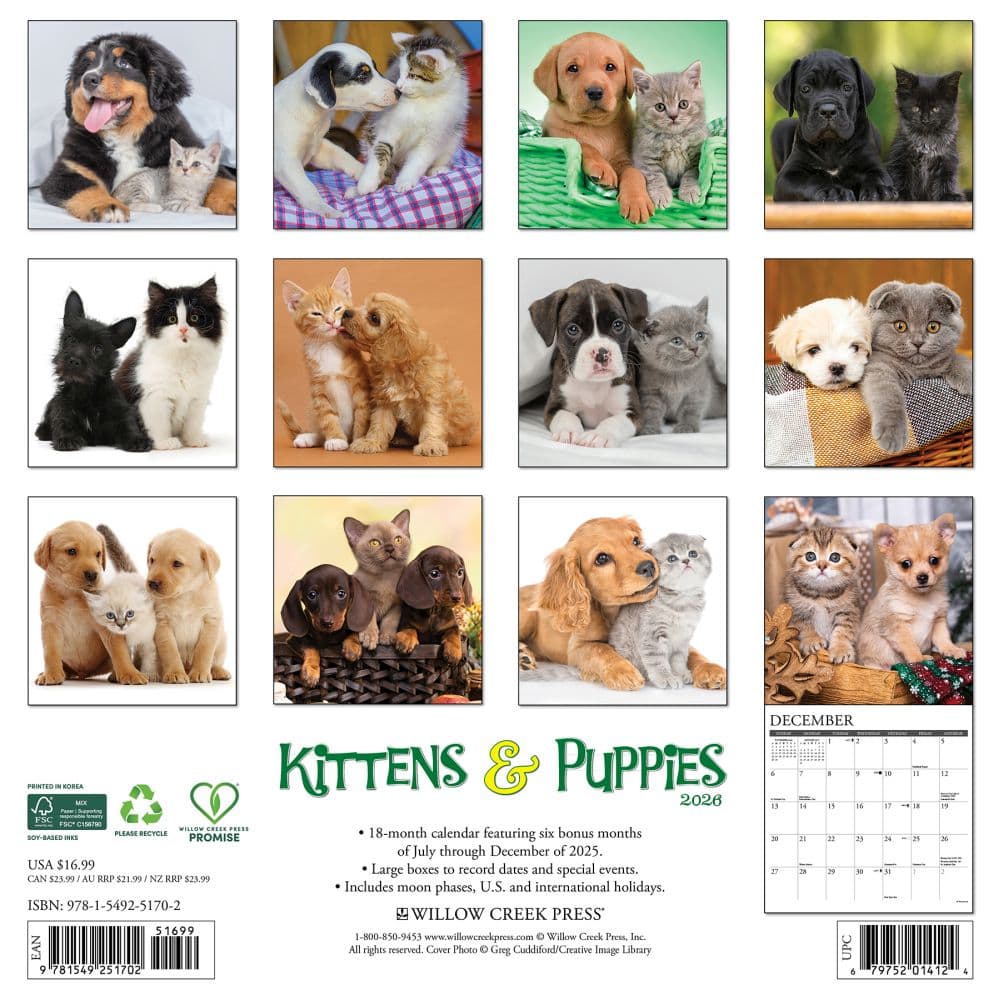 Kittens and Puppies 2026 Wall Calendar First Alternate Image