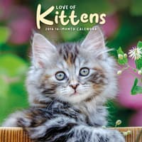 image Love of Kittens 2026 Mini Wall Calendar Main Image