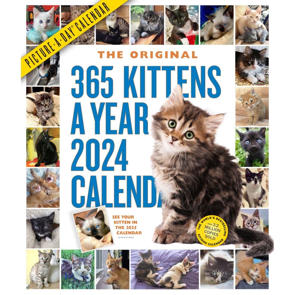 Kittens 365 Days 2024 Wall Calendar Main Image