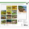 image Capybara WWF 2025 Wall Calendar First Alternate Image width=&quot;1000&quot; height=&quot;1000&quot;