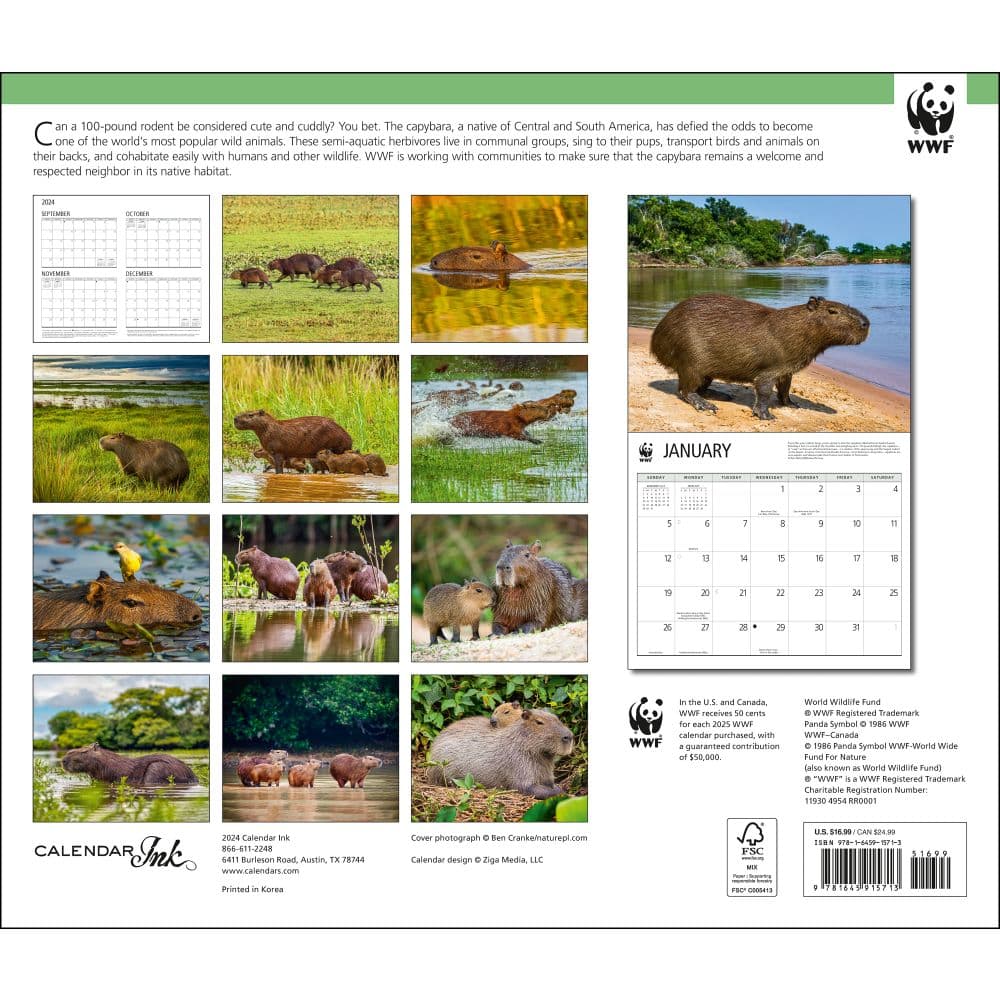 Capybara WWF 2025 Wall Calendar First Alternate Image width=&quot;1000&quot; height=&quot;1000&quot;