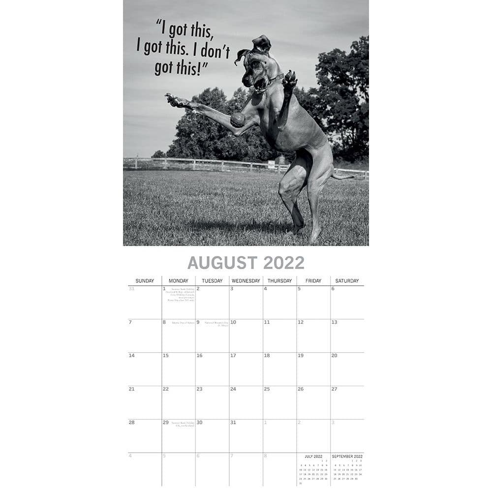 Mutts 2022 Wall Calendar - Calendars.com