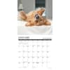 image What Goldens Teach Us 2025 Wall Calendar