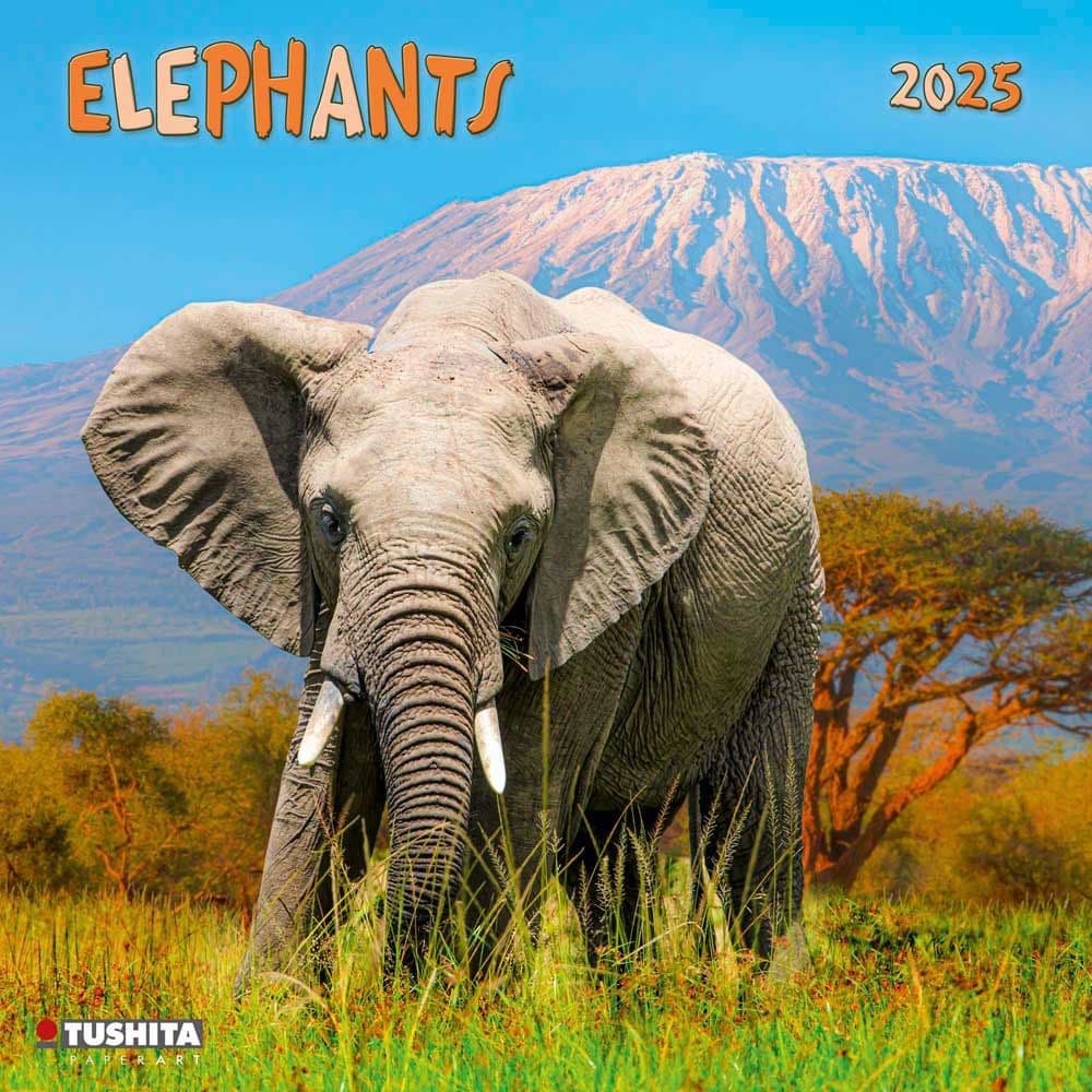 Elephant Families 2025 Wall Calendar