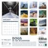 image Dogs in the Wilderness 2025 Wall Calendar First Alternate Image width=&quot;1000&quot; height=&quot;1000&quot;