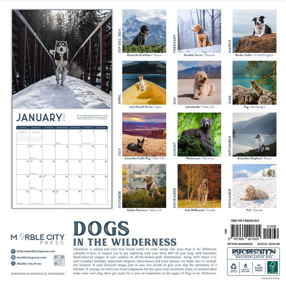 Dogs in the Wilderness 2025 Wall Calendar First Alternate Image width="1000" height="1000"