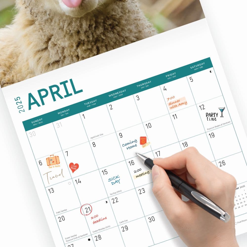 Sheep 2025 Wall Calendar Third Alternate Image