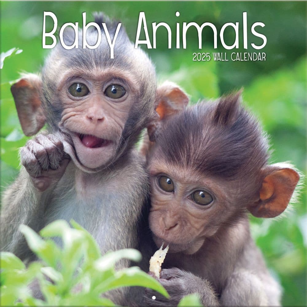 Baby Animals Photo 2025 Wall Calendar_Main Image