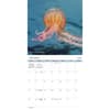 image Ocean Life 2025 Wall Calendar First Alternate Image width=&quot;1000&quot; height=&quot;1000&quot;