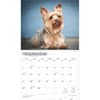 image Yorkshire Terriers Deluxe 2025 Wall Calendar Third Alternate Image