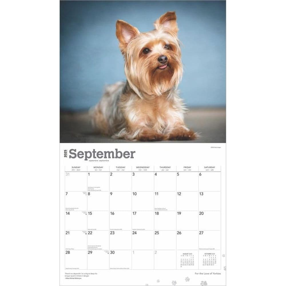 Yorkshire Terriers Deluxe 2025 Wall Calendar Third Alternate Image