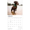 image German Shorthaired Pointers 2027 Wall Calendar Second Alternate Image