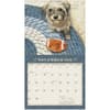 image Dogs We Love by Sueellen Ross 2026 Wall Calendar Second Alternate Image