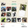 image Tuxedo Cats 2025 Wall Calendar