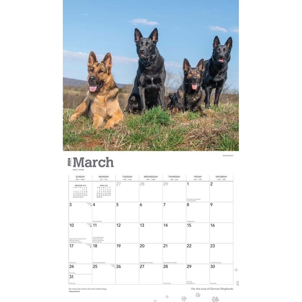German Shepherds Deluxe 2024 Wall Calendar Alternate Image 2