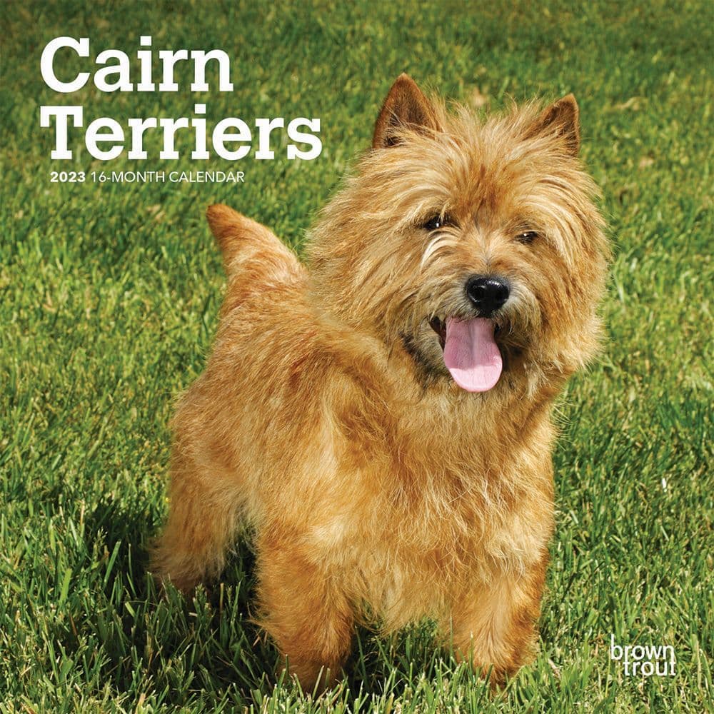 BrownTrout Cairn Terriers 2023 Mini Wall Calendar