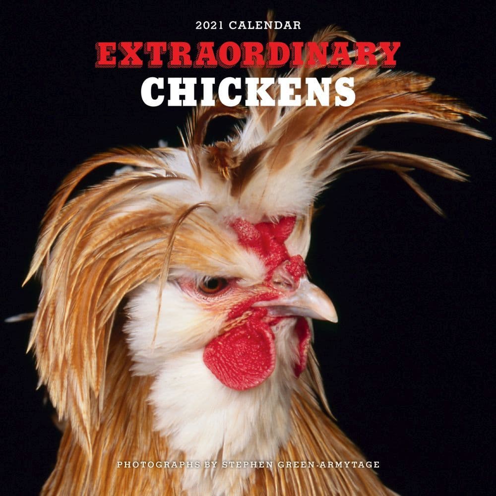 Extraordinary Chickens Wall Calendar