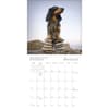 image Dogma 2025 Mini Wall Calendar Alt4