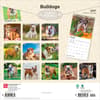 image Bulldogs 2027 Wall Calendar First Alternate Image