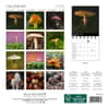 image Mushrooms 2026 Mini Wall Calendar First Alternate Image