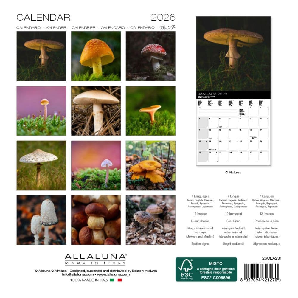 Mushrooms 2026 Mini Wall Calendar First Alternate Image