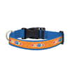image Pets R Us Dog Collars Main Product Image