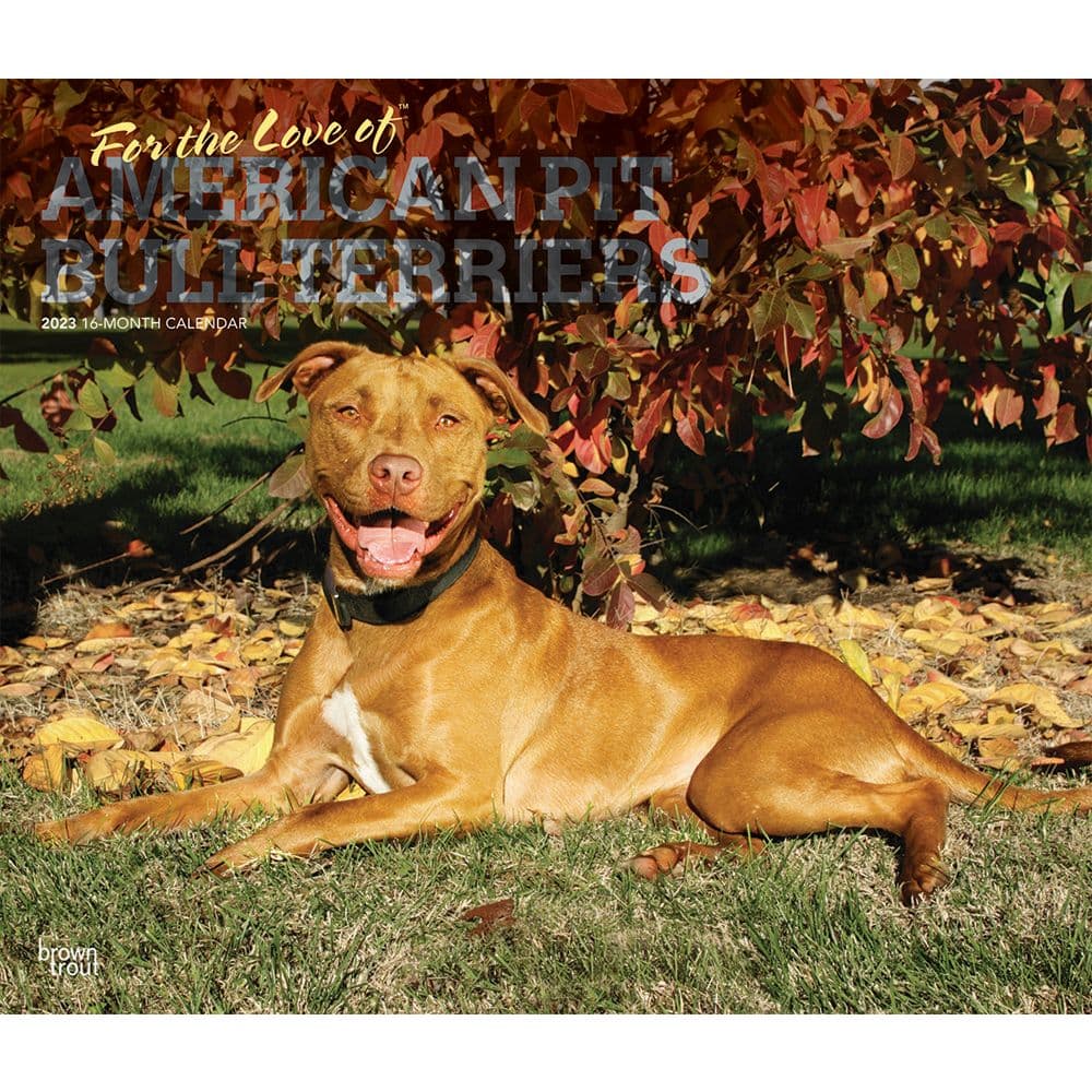 BrownTrout American Pit Bull Terriers For the Love of 2023 Deluxe Wall Calendar