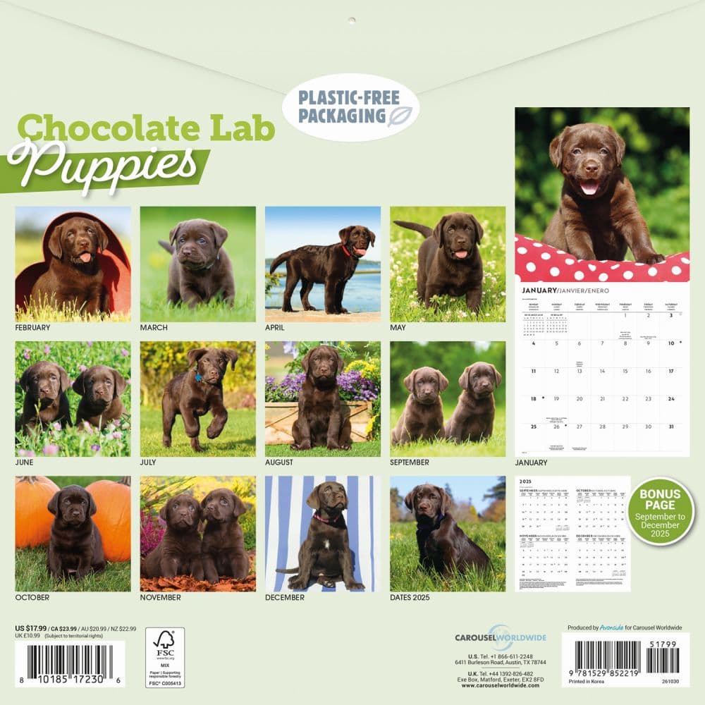 Chocolate Lab Retriever Puppies 2026 Wall Calendar First Alternate Image