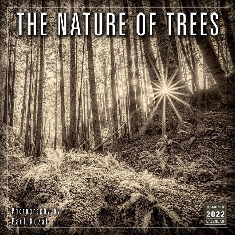 Nature of Trees 2022 Wall Calendar - Calendars.com