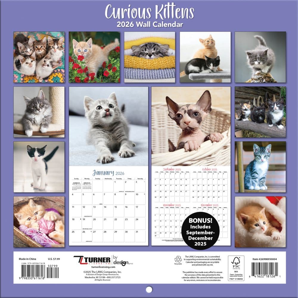 Curious Kittens Photo 2026 Mini Wall Calendar_ALT3