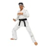 image Karate Kid Daniel GO! Exclusive Sixth Alternate Image width=&quot;1000&quot; height=&quot;1000&quot;