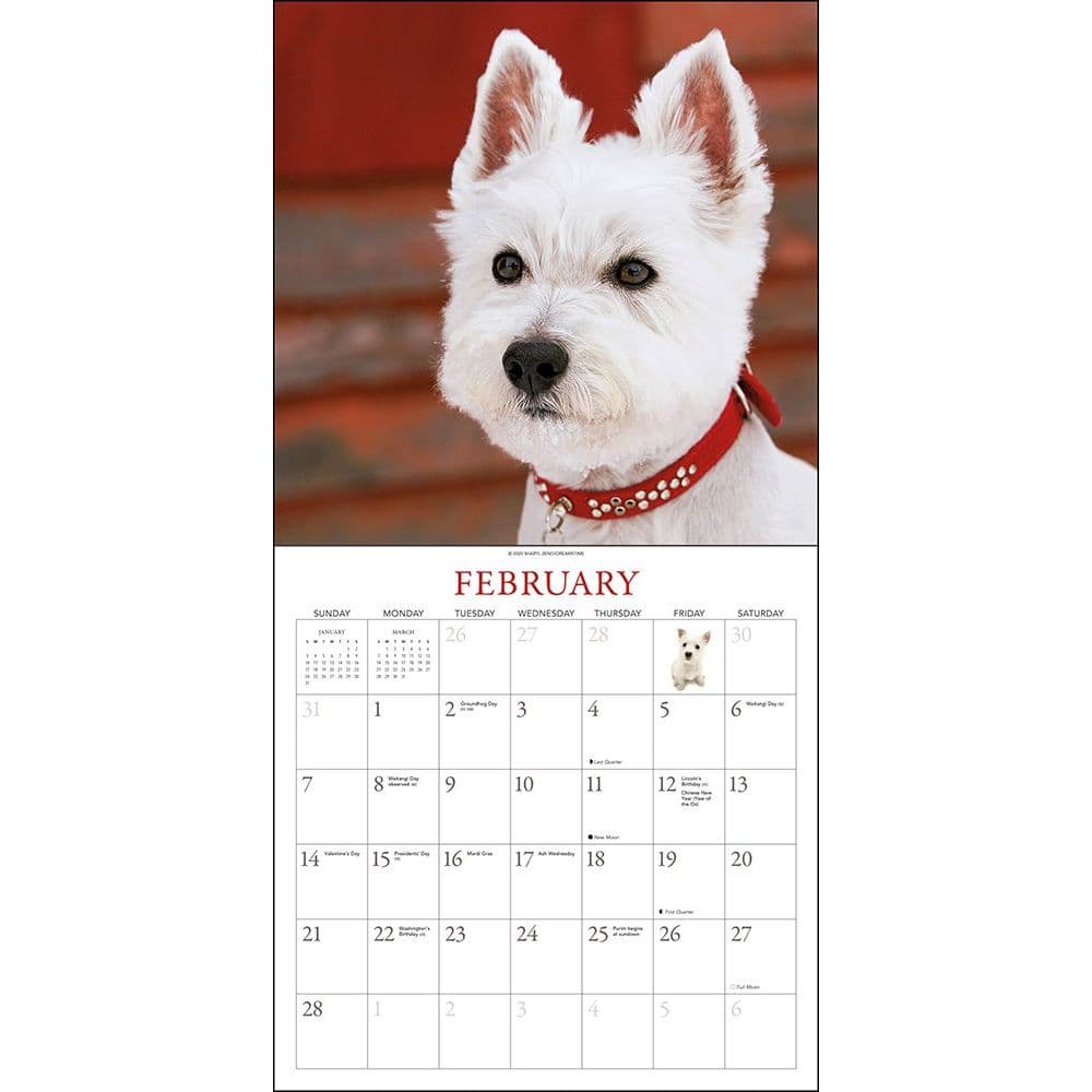 Westies Wall Calendar