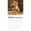 image Just Cocker Spaniels 2025 Wall Calendar