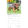 image Dachshund Puppies 2026 Wall Calendar Fourth Alternate Image