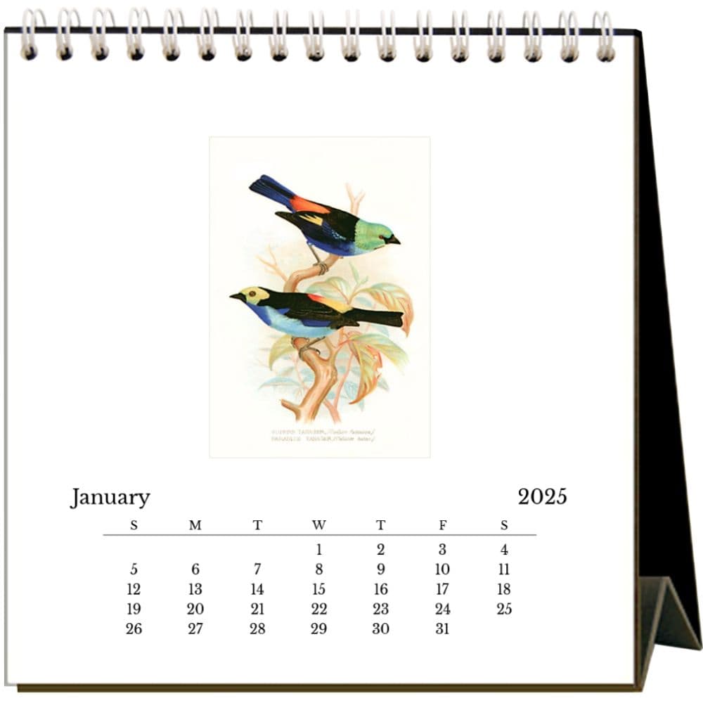 Birds 2025 Easel Desk Calendar Second Alternate Image width="1000" height="1000"