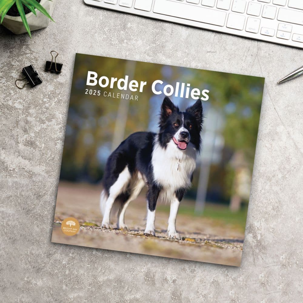 Border Collies 2025 Wall Calendar Fourth Alternate Image