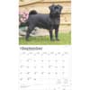image Pugs Deluxe 2025 Wall Calendar